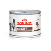 Royal Canin Recovery Canned Wet Food For Dogs