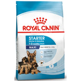 Royal Canin Maxi Starter Dry Food For Dogs