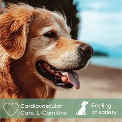 Dibaq Sense Duck & Turkey light and senior dry food for dogs