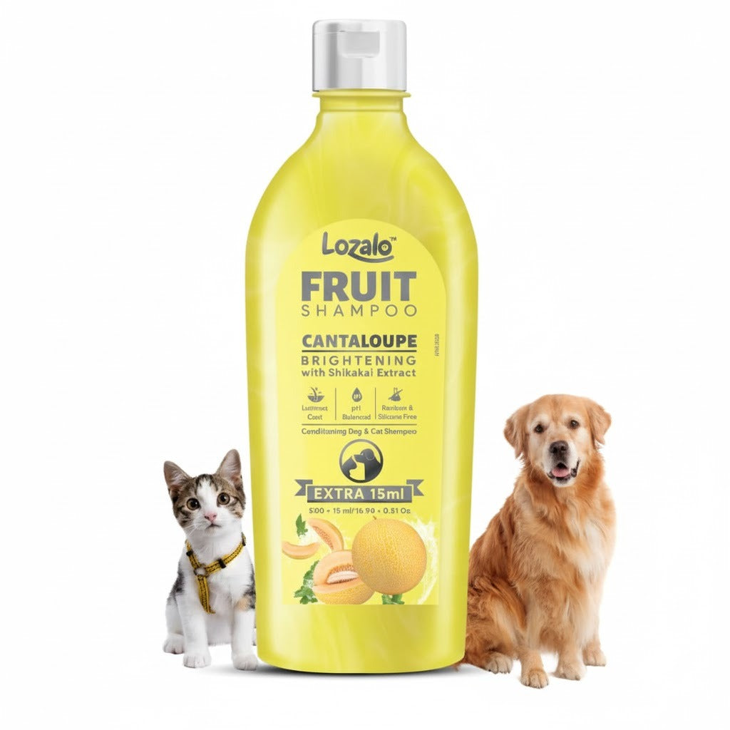 Lozalo Fruit Pet Shampoo- Cantaloupe
