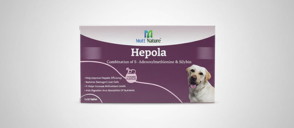 Mutt Nature Hepola – Clear and Reliable Pet Care Product