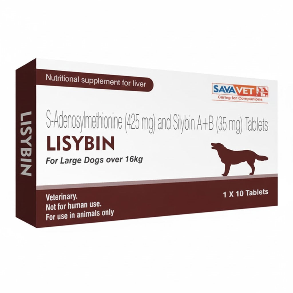 Savavet Lisybin Large – Clear and Reliable Pet Care Option