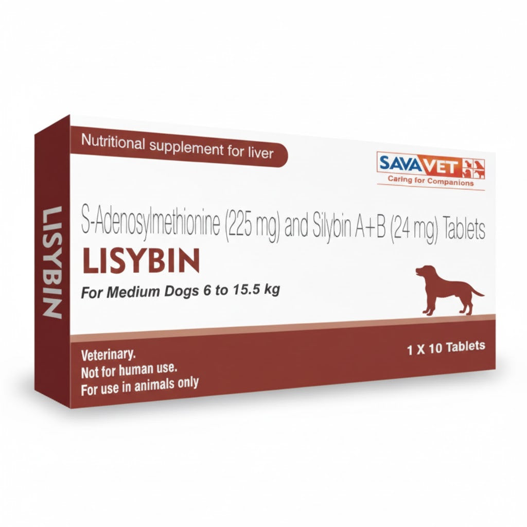 Savavet Lisybin Medium – Clear and Reliable Pet Care Product