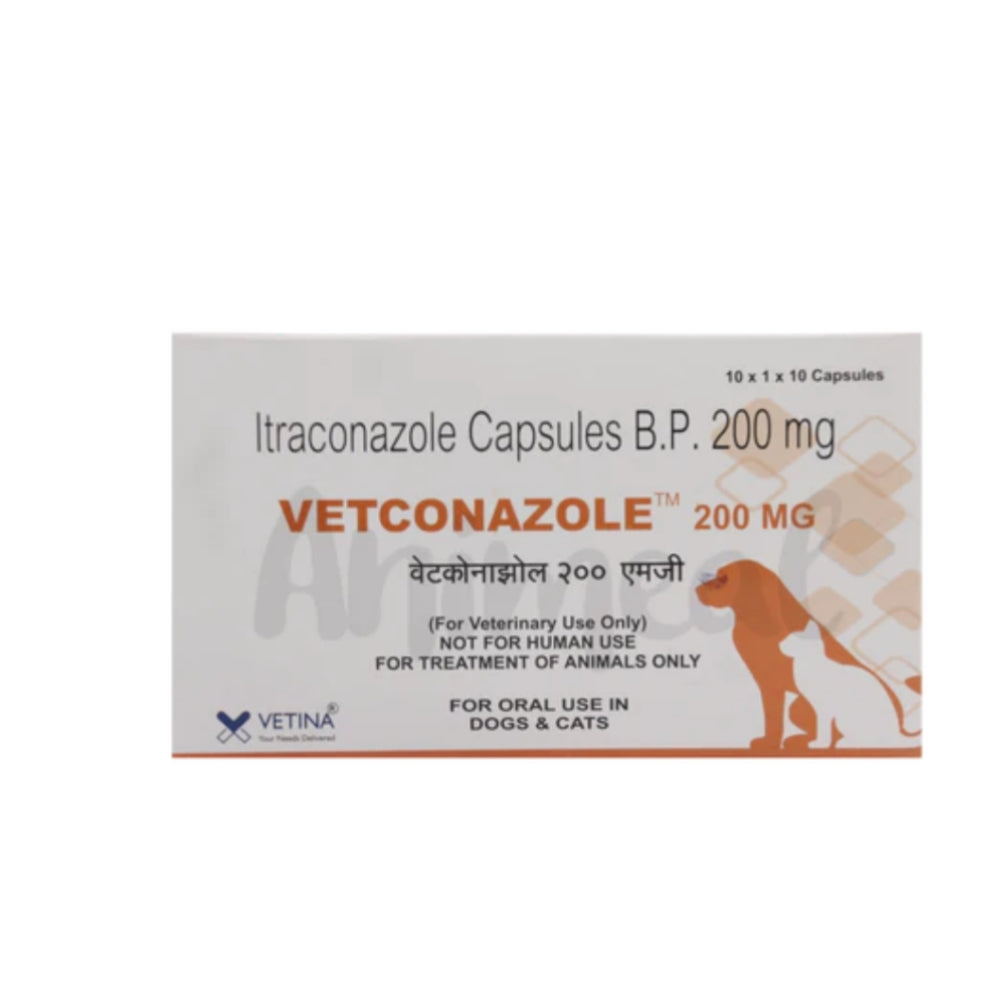 Vetconazole Capsules – 100mg / 200mg for Dogs & Cats