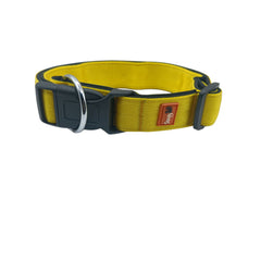 Collar Model2