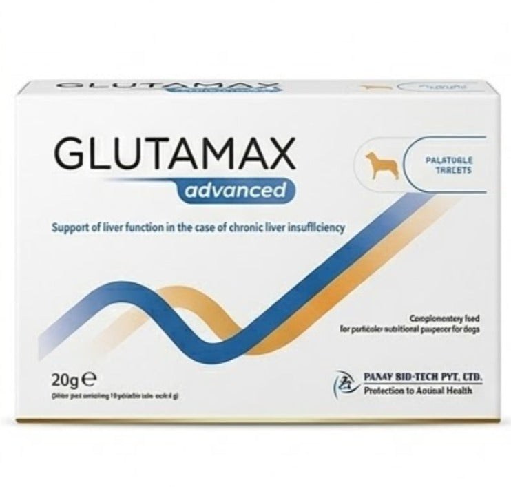 Candioli GLUTAMAX Advanced Liver Support palatable Tablets for Dogs Pet Health Supplements (10 Pieces)